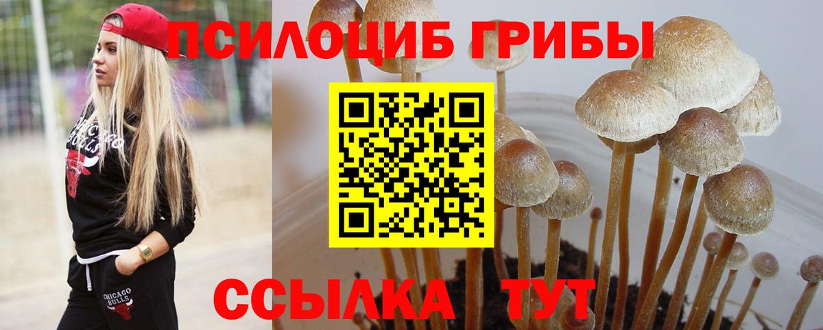 Псилоцибиновые грибы Psilocybe  Галлюциногенные грибы Magic Shrooms  Вход с VPN  Избербаш 